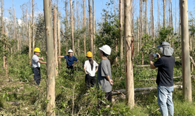 湛江市困难职工帮扶中心深入中林集团实地调查台风“麦德姆”受灾情况