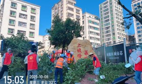 霞山区新园街道工会开展以救灾复产为核心的爱国卫生运动