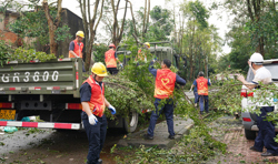 风雨同舟抗台风  众志成城促复产——湛江海滨船厂全力应对台风“麦德姆”纪实