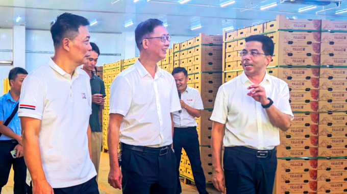 阳江市总工会赴遂溪开展调研交流活动
