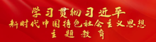 学习贯彻习近平新时代中国特色社会主义思想主题教育